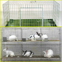 Rabbit farming cage and used rabbit cage for sale in Anping county